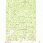 United States Geological Survey Thayer, MI (1982, 25000-Scale) digital map