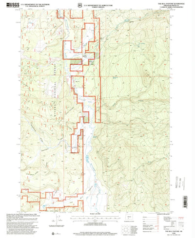 United States Geological Survey The Bull Pasture, OR (1998, 24000-Scale) digital map