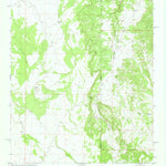 United States Geological Survey The Rincon, AZ-NM (1971, 24000-Scale) digital map