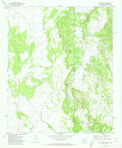 United States Geological Survey The Rincon, AZ-NM (1971, 24000-Scale) digital map