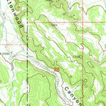 United States Geological Survey The Rincon, AZ-NM (1971, 24000-Scale) digital map