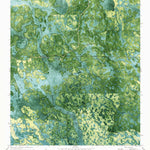 United States Geological Survey Thelma, GA (1971, 24000-Scale) digital map