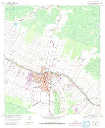 United States Geological Survey Thibodaux, LA (1962, 24000-Scale) digital map