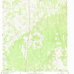 United States Geological Survey Thomas Springs, TX (1961, 24000-Scale) digital map