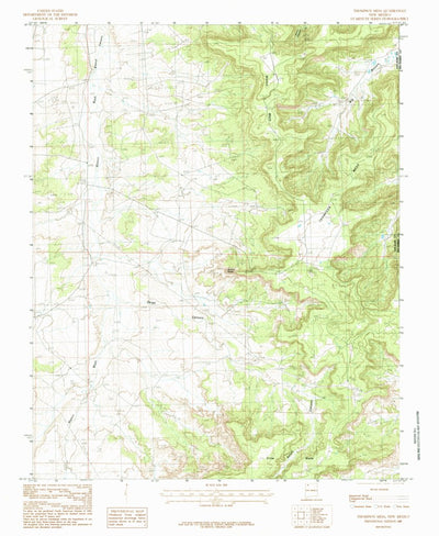 United States Geological Survey Thompson Mesa, NM (1985, 24000-Scale) digital map