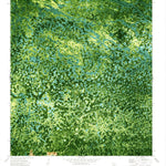 United States Geological Survey Thompson Pine Island, FL (1974, 24000-Scale) digital map