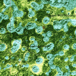 United States Geological Survey Thompson Pine Island, FL (1974, 24000-Scale) digital map