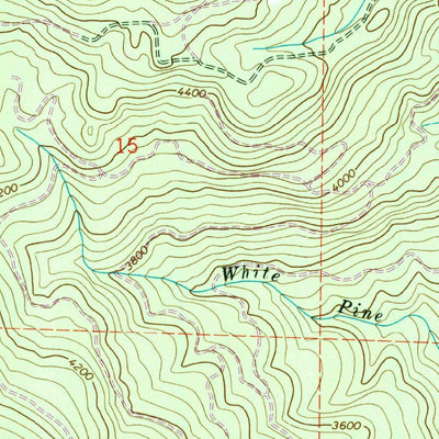 United States Geological Survey Thompson Point, ID (1969, 24000-Scale) digital map