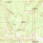 United States Geological Survey Thompson Point, UT-AZ (1987, 24000-Scale) digital map
