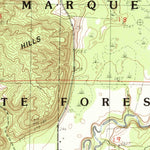 United States Geological Survey Thompsonville, MI (1983, 25000-Scale) digital map