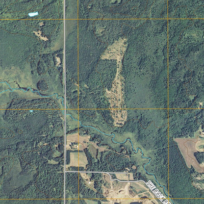United States Geological Survey Thor SE, MN (2010, 24000-Scale) digital map