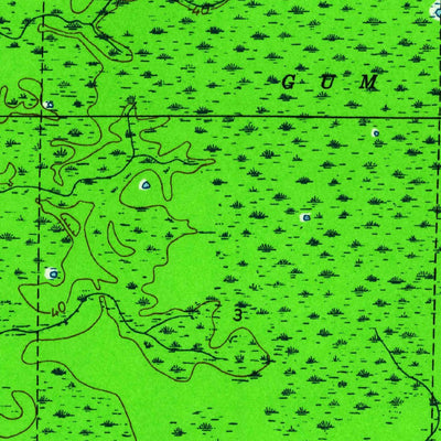 United States Geological Survey Thousand Yard Bay, FL (1945, 24000-Scale) digital map
