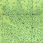 United States Geological Survey Thousand Yard Bay, FL (1945, 31680-Scale) digital map