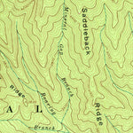 United States Geological Survey Thunderhead Mountain, NC-TN (1964, 24000-Scale) digital map
