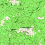 United States Geological Survey Tiffany Mountain, WA (1956, 62500-Scale) digital map