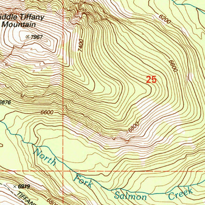 United States Geological Survey Tiffany Mountain, WA (2001, 24000-Scale) digital map