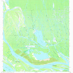 United States Geological Survey Tiger Island, LA (1969, 24000-Scale) digital map
