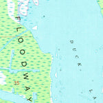 United States Geological Survey Tiger Island, LA (1969, 24000-Scale) digital map