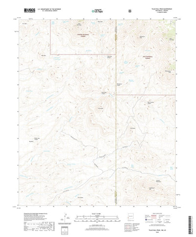 United States Geological Survey Tillie Hall Peak, NM (2020, 24000-Scale) digital map