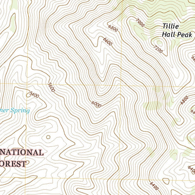 United States Geological Survey Tillie Hall Peak, NM (2020, 24000-Scale) digital map