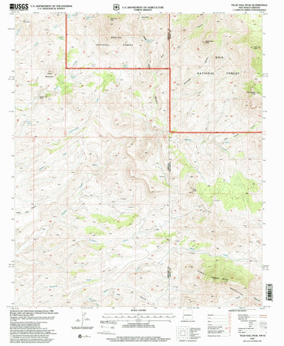 United States Geological Survey Tillie Hall Peak, NM-AZ (1997, 24000-Scale) digital map