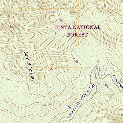United States Geological Survey Timpanogos Cave, UT (2020, 24000-Scale) digital map