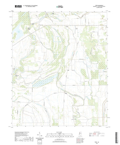 United States Geological Survey Tippo, MS (2020, 24000-Scale) digital map