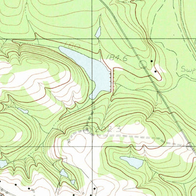 United States Geological Survey Tirzah, SC (1982, 24000-Scale) digital map