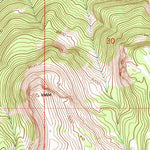 United States Geological Survey Togwotee Pass, WY (1991, 24000-Scale) digital map
