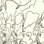 United States Geological Survey Toh Atin Mesa West, AZ-UT (1953, 24000-Scale) digital map
