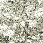 United States Geological Survey Toh Chin Lini Mesa, AZ (1953, 24000-Scale) digital map