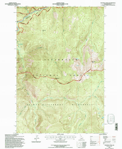 United States Geological Survey Tom Beal Peak, ID (1994, 24000-Scale) digital map