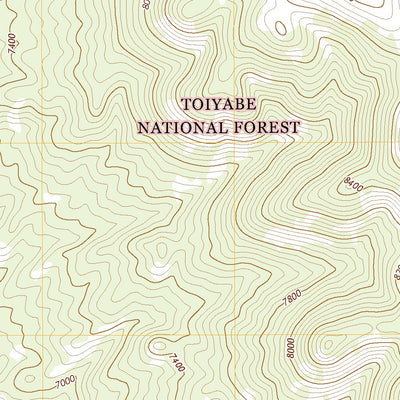 United States Geological Survey Toms Canyon, NV (2021, 24000-Scale) digital map