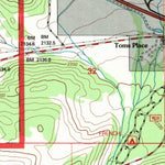 United States Geological Survey Toms Place, CA (1994, 24000-Scale) digital map