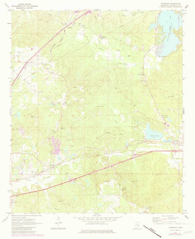 United States Geological Survey Toomsuba, MS (1971, 24000-Scale) digital map