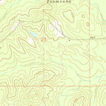 United States Geological Survey Toomsuba, MS (1971, 24000-Scale) digital map