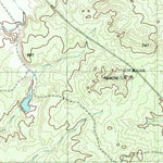 United States Geological Survey Tordillo Creek, TX (1984, 24000-Scale) digital map