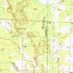 United States Geological Survey Tower, MI (1957, 62500-Scale) digital map