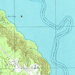 United States Geological Survey Town Bluff, TX (1984, 24000-Scale) digital map