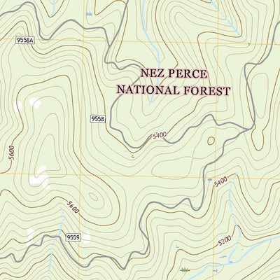 United States Geological Survey Trapper Creek, ID (2020, 24000-Scale) digital map