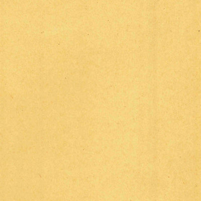 United States Geological Survey Treat, AR (1889, 62500-Scale) digital map