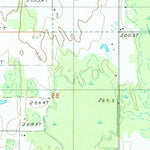 United States Geological Survey Trenary, MI (1985, 24000-Scale) digital map