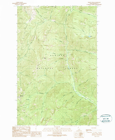 United States Geological Survey Trestle Peak, ID (1989, 24000-Scale) digital map