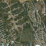 United States Geological Survey Trinity East, TX (2010, 24000-Scale) digital map
