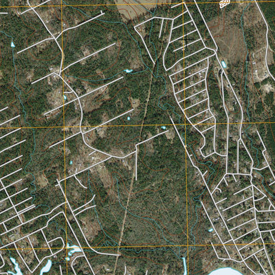 United States Geological Survey Trinity East, TX (2010, 24000-Scale) digital map