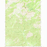 United States Geological Survey Trinity Mountain, ID (1964, 24000-Scale) digital map