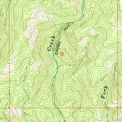 United States Geological Survey Trinity Mountain, ID (1964, 24000-Scale) digital map
