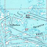 United States Geological Survey Triumph, LA (1993, 24000-Scale) digital map