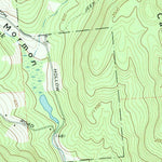 United States Geological Survey Trout Creek, NY (1965, 24000-Scale) digital map