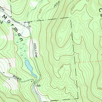 United States Geological Survey Trout Creek, NY (1965, 24000-Scale) digital map